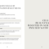 Ageless Reset – 7 Days Cellular Rejuvenation